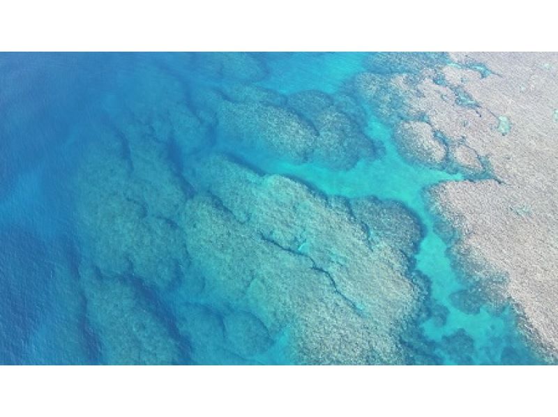 【沖縄・石垣島】体験ダイビング＆シュノーケル☆少人数で2〜3箇所巡る安心の海遊びツアー！の紹介画像