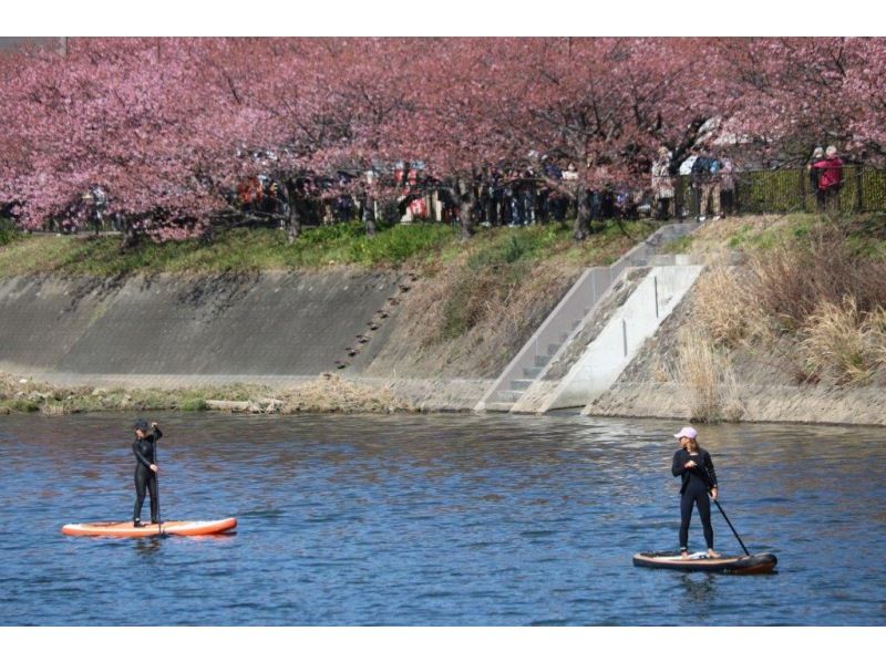 [Shizuoka/Ito City & Izu Kogen] SUP rental ~ For those who want to do it freely! No instructor required, you can play all day longの紹介画像