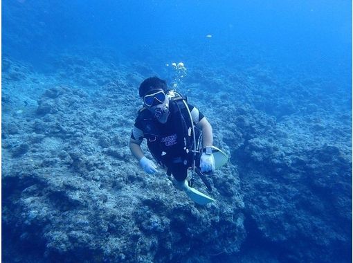 Okinawa Ishigaki] direction have a C-card! Fan diving (2