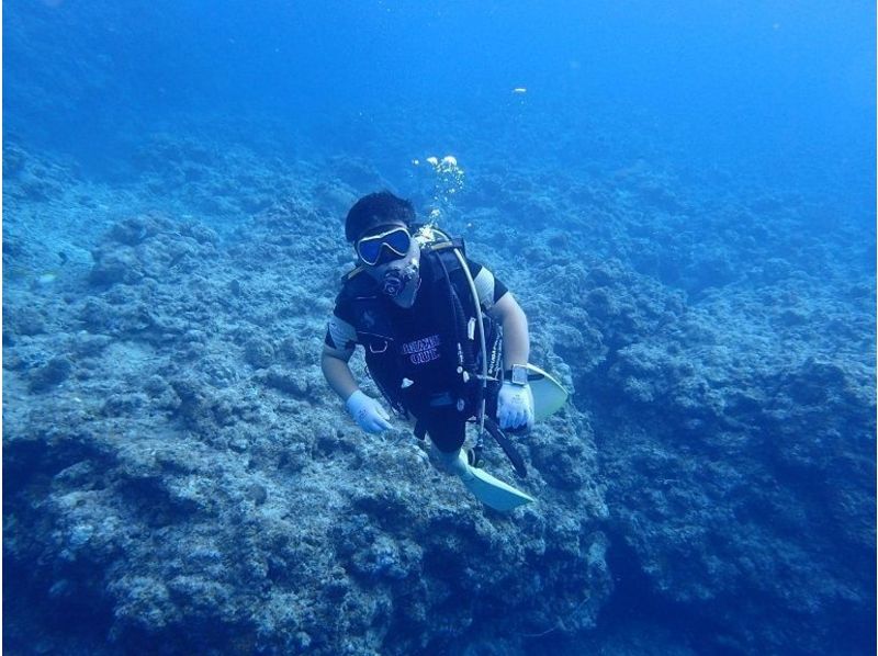 [Okinawa Ishigaki] a lot of diving want people-friendly! Fan diving (3 boat) ※ If you have a C cardの紹介画像