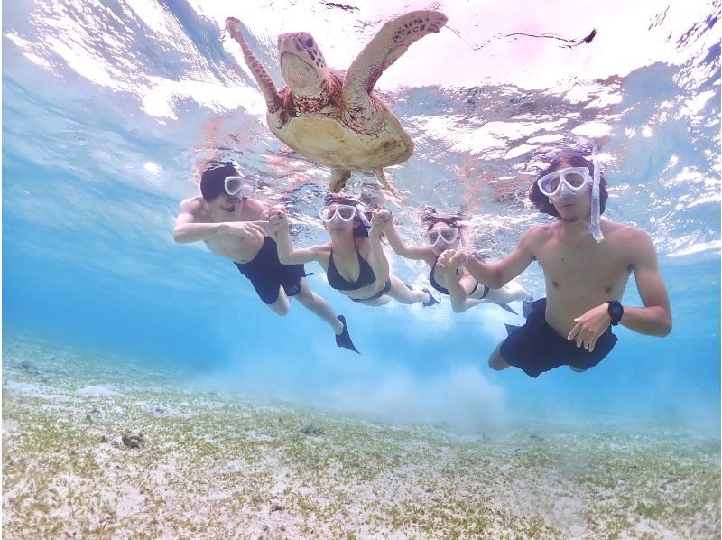 [Okinawa/Miyakojima/Snorkel] <1 group reserved> Let's go see sea turtles! Completely private snorkel tour♪の紹介画像