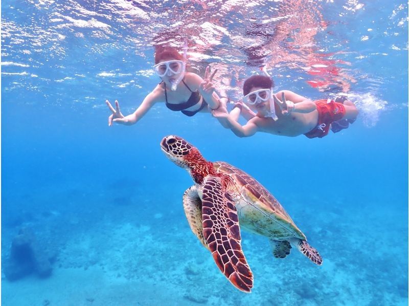 Regional coupon support [Okinawa/Miyakojima] 100% encounter rate so far! Sea Turtle Snorkeling Tour