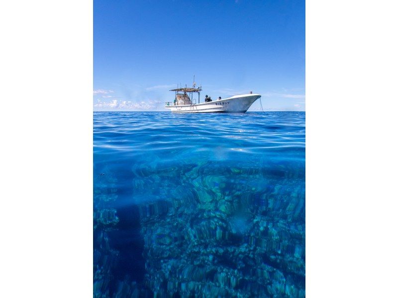 [Okinawa Kumejima] Half-day boat snorkeling in the sea of Kumiの紹介画像
