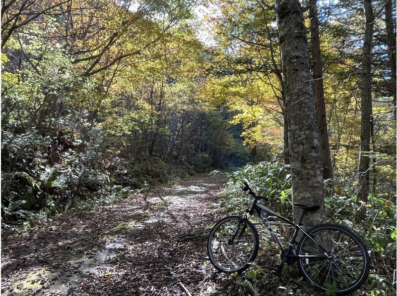 【長野・木曽開田高原】MOUNTAIN BIKE TOURの紹介画像