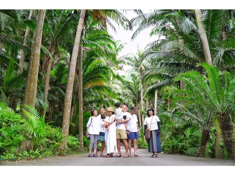 【先着3組様☆SALE開催中】南ぬ島☆石垣島を貸切で周遊＆プロ撮影☆絶景フォトツアー♪石垣島旅行に大人数の参加がお得☆【タイムセールプラン】の紹介画像