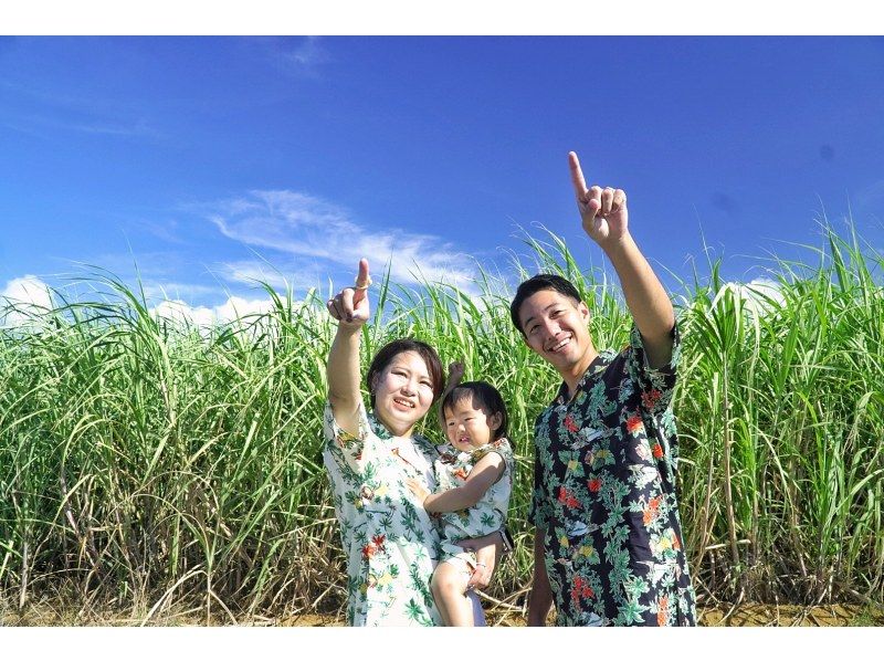 【先着3組様☆SALE開催中】南ぬ島☆石垣島を貸切で周遊＆プロ撮影☆絶景フォトツアー♪石垣島旅行に大人数の参加がお得☆【タイムセールプラン】の紹介画像