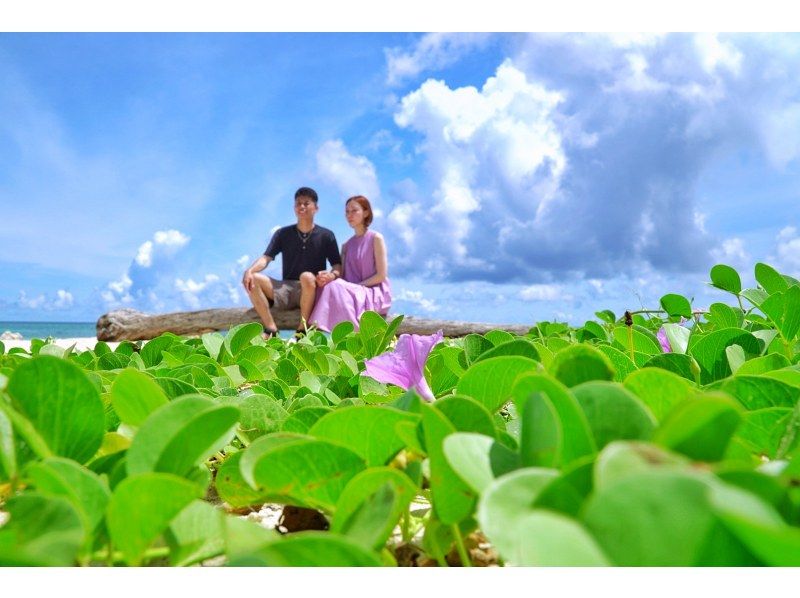 【先着3組様☆夏休みSALE】南ぬ島☆石垣島を貸切で周遊＆プロ撮影☆絶景フォトツアー♪石垣島旅行に大人数の参加がお得☆【タイムセールプラン】の紹介画像