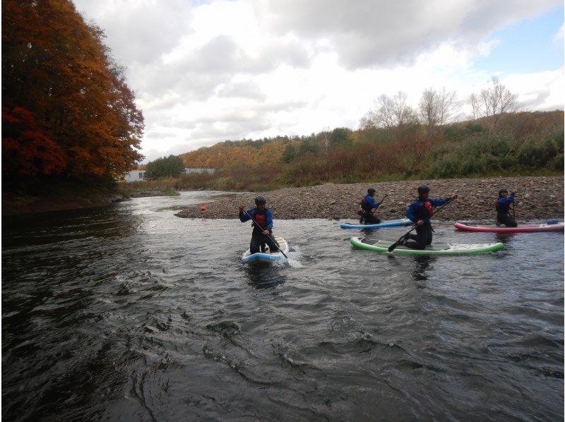 【北海道・ニセコ】☆SUP経験者向け☆流水チャレンジ！尻別川でリバーSUPを体験してみよう！の紹介画像
