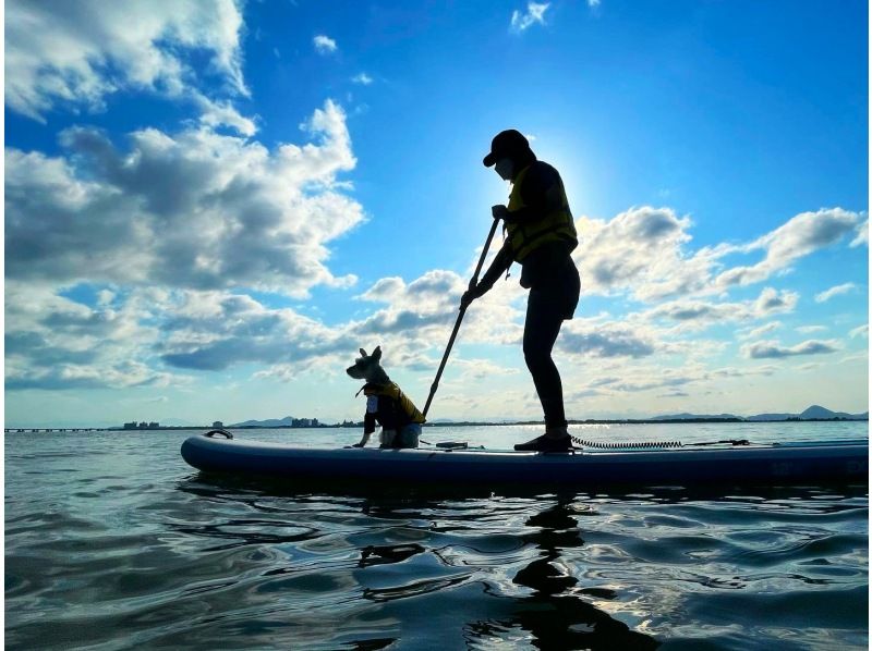 滋賀「水上さんぽ滋賀」 琵琶湖 SUP(サップ)体験を愛犬を楽しむ人