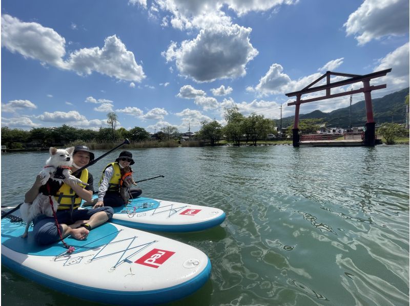 [Lake Biwa SUP experience << 90 minutes >> ☆ Beginners are welcome! ] You can relax and experience SUP with a small number of people ♪ Pet dog can also be accompanied ♪ << Beginner / One person / Women are also recommended >>の紹介画像