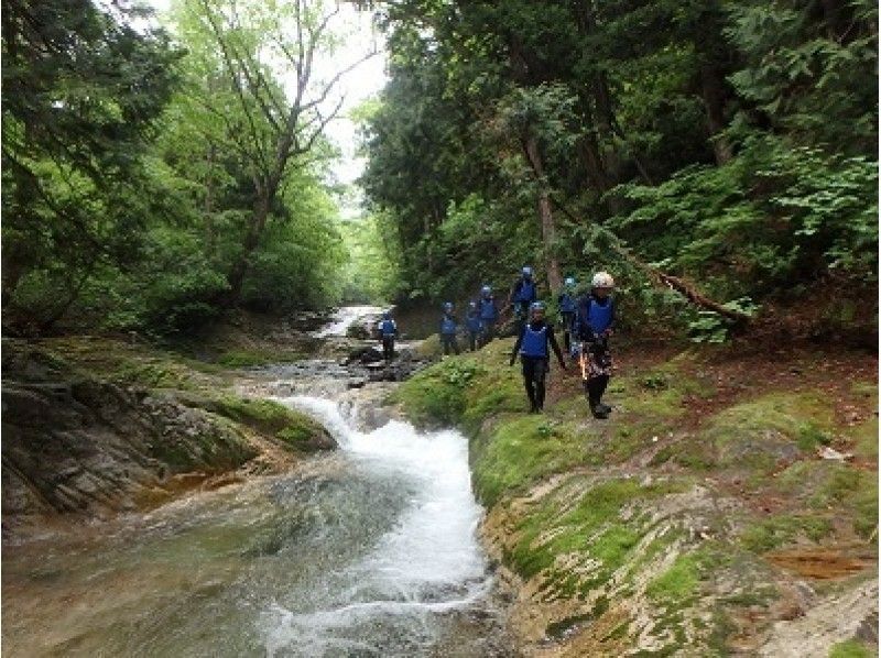 [群马·Minamikami]一场激动人心的山间溪流冒险！溪降枫木课程（半天）の紹介画像
