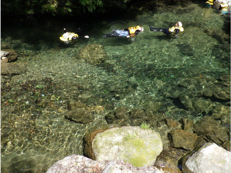 日常を脱ぎ捨てて大自然と呼吸を合わせる1日 【源流の森と水に癒されるキャニオニングリトリート】｜静寂の渓谷で心を解き放つ 大人のリフレッシュの紹介画像