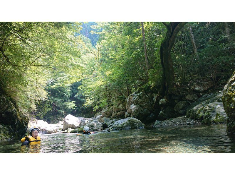 日常を脱ぎ捨てて大自然と呼吸を合わせる1日 【源流の森と水に癒されるキャニオニングリトリート】｜静寂の渓谷で心を解き放つ 大人のリフレッシュの紹介画像