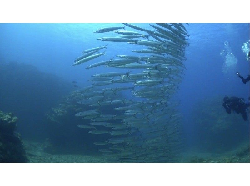 【沖縄・北谷発・近海】ボートで移動10分で潜れる！サンゴ礁の楽園＆お魚天国で気軽に体験ダイビング ☆ライセンス不要・午後から参加OK☆の紹介画像