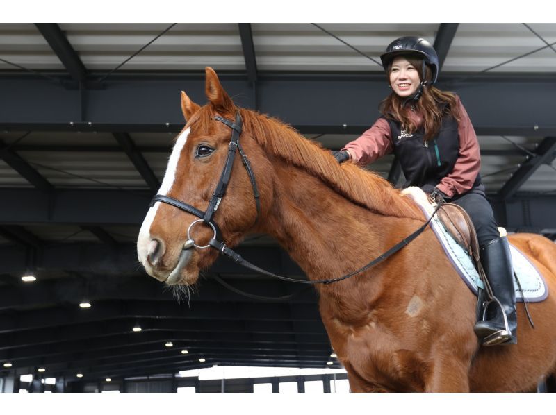 ผู้หญิงขี่ม้า Niikappu Horoshiri Horse Riding Club