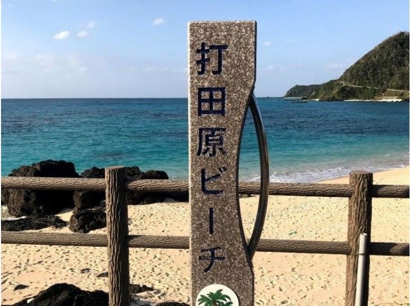 【鹿児島・奄美】お1人様大歓迎‼奄美の大自然と触れ合える貸切半日フリープラン（送迎付き・1組限定）の紹介画像