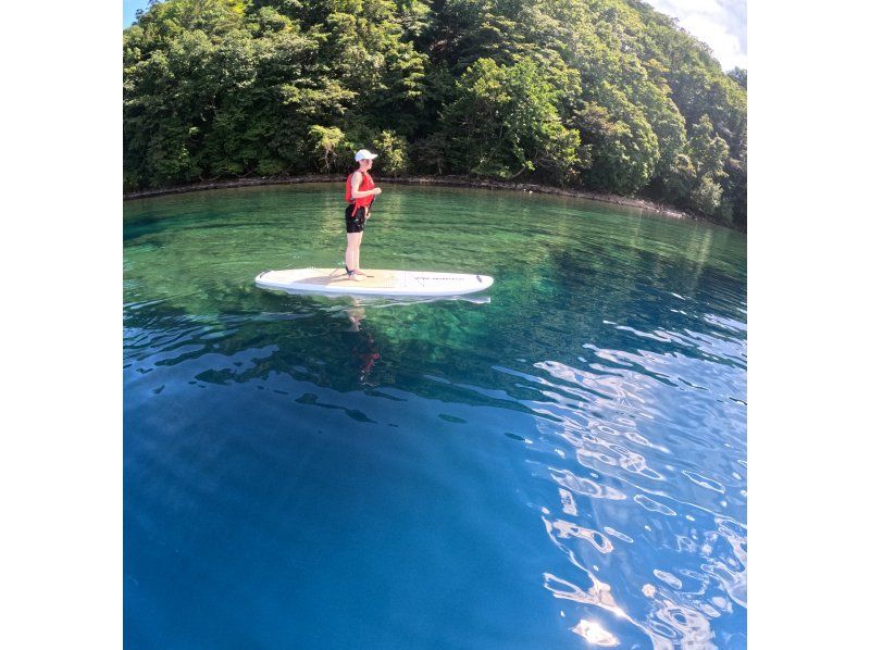 【北海道・千歳】クリアな水面を水上散歩〜水質日本一の支笏湖でプレミアムSUP体験ツアー！撮影写真プレゼント（約2時間）※団体も可能！の紹介画像