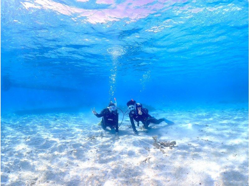 【石垣島】幻の島上陸＆体験ダイビング＋ウミガメシュノーケリング【1日満喫プラン】GoProレンタル無料♪の紹介画像