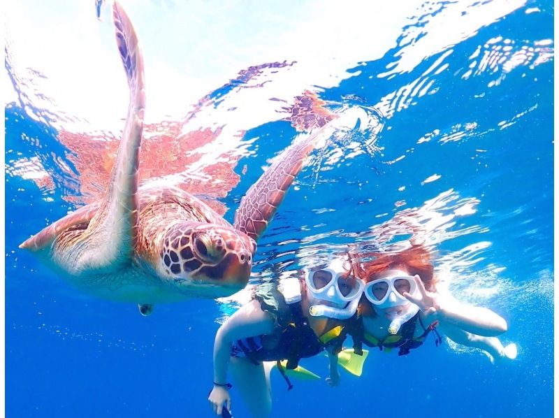 【石垣島】幻の島上陸＆体験ダイビング＋ウミガメシュノーケリング【1日満喫プラン】GoProレンタル無料♪の紹介画像