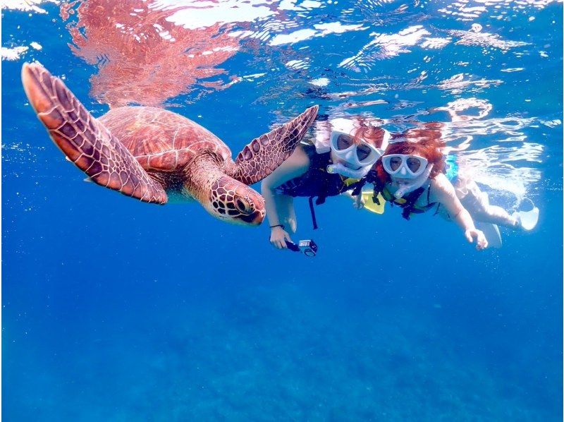 【石垣島】幻の島上陸＆体験ダイビング＋ウミガメシュノーケリング【1日満喫プラン】GoProレンタル無料♪の紹介画像