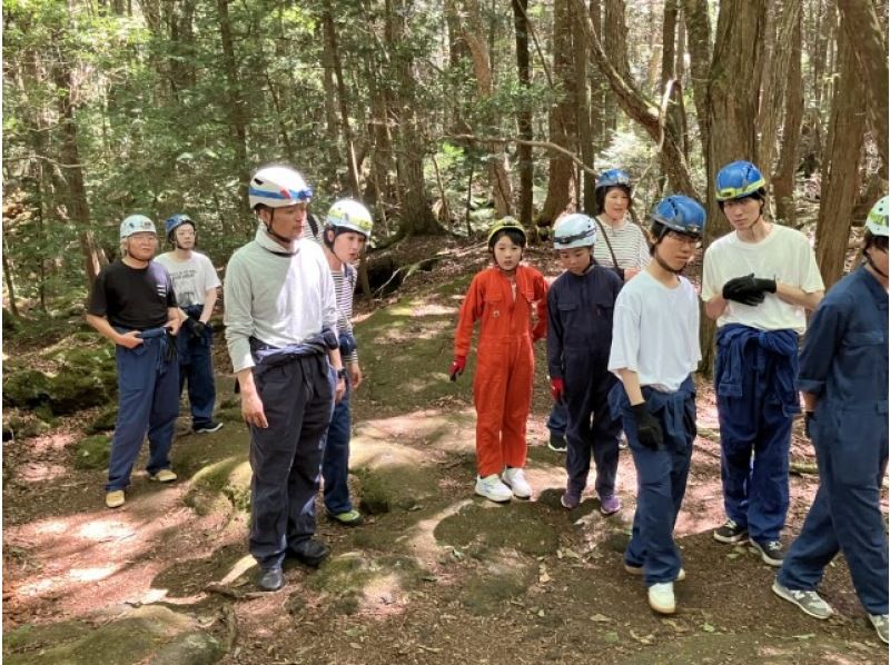 【山梨・河口湖】神秘的な樹海散策と洞窟探検氷の世界！地元のガイドが富士山の歴史や植物を分かりやすく説明、送迎あり＆写真無料プレゼント英語OKの紹介画像