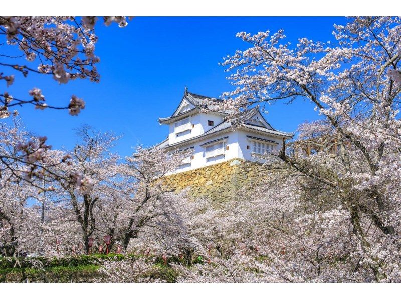 【移住計画オンラインツアー】津山の暮らしを体験！津山の魅力をたっぷりお届け！【地元の方が楽しく教える！郷土料理作り体験付】の紹介画像