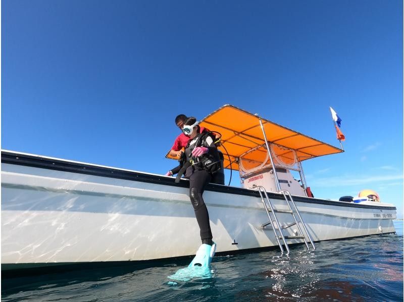 오키나와 본섬 모토부쵸 미즈나지마 세소지마”체험”보트 다이빙 2 다이브로부터｜여러가지의 산호나 열대어 ✨바다의 파랑에 감동 다이빙 체험の紹介画像