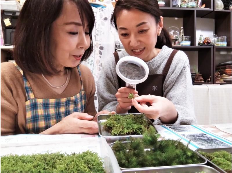 【人気☆特別プラン】苔を楽しむ1日☆苔の炭鉢&苔テラリウムづくり講座