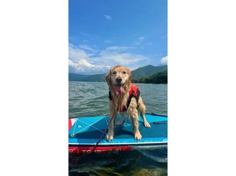 【みどり市草木湖SUP・群馬】（半日）サップツアー！3名で19500円！4名以上+6000円！愛犬も一緒に！の紹介画像