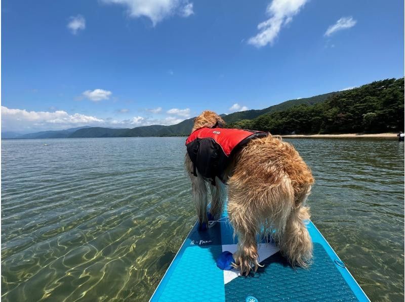 【みどり市草木湖SUP・群馬】（半日）サップツアー！3名で19500円！4名以上+6000円！愛犬も一緒に！の紹介画像