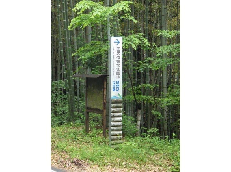 【みどり市草木湖SUP・群馬】（半日）サップツアー！3名で19500円！4名以上+6000円！愛犬も一緒に！の紹介画像