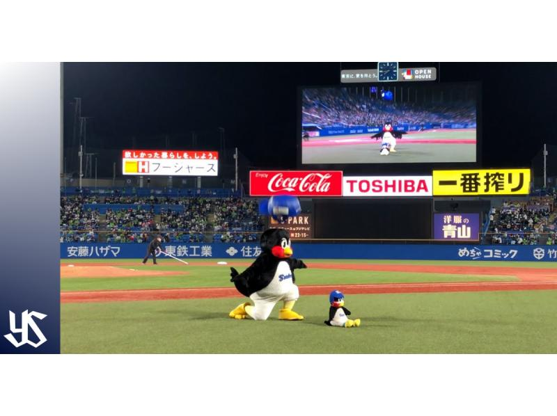 6/30(日)ヤクルトスワローズ対阪神タイガース レフトビジター