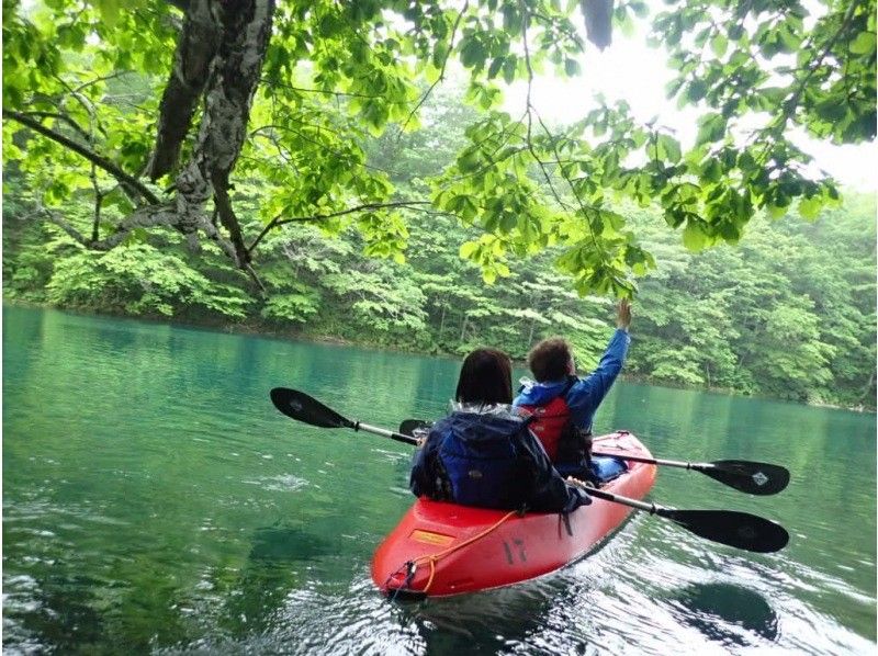 【北海道・支笏湖】手ぶらでOK！（朝活）11年連続水質日本一位を誇った支笏湖と千歳川が織りなす早朝の静けさと幻想的な自然を感じる体験の紹介画像