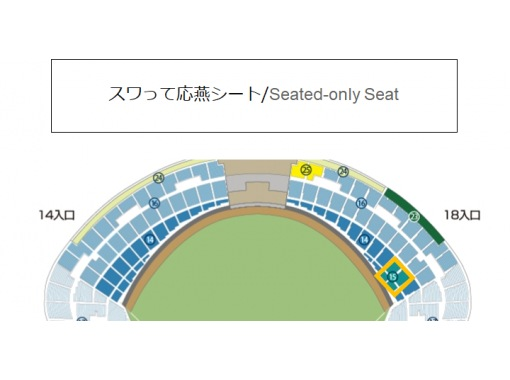 東京ヤクルトスワローズ 8 12 金 8 13 土 8 14 日 横浜denaベイスターズ戦 観戦チケット アクティビティジャパン