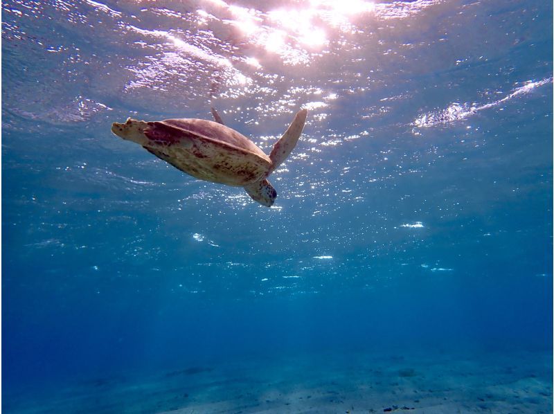 A memorable adventure that will last a lifetime! A tour around Kurima Island by sea kayak! Snorkeling included!の紹介画像