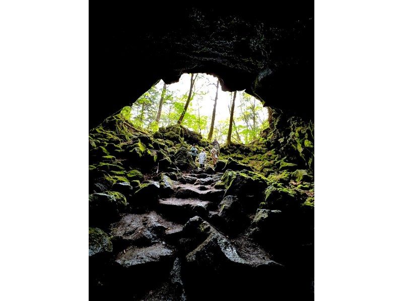 [Yamanashi Prefecture, Minamitsuru-gun] "Mysterious Forest" Aokigahara Jukai Tour to feel Mt. Fuji using the five sensesの紹介画像