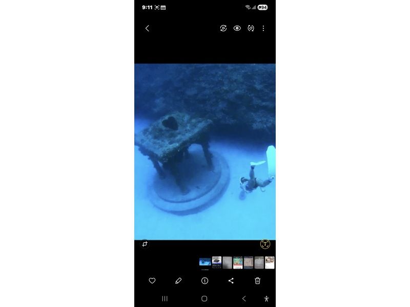 1日限定貸切り(5名迄)海中宮殿シュノーケリングorスキンダイビングの紹介画像