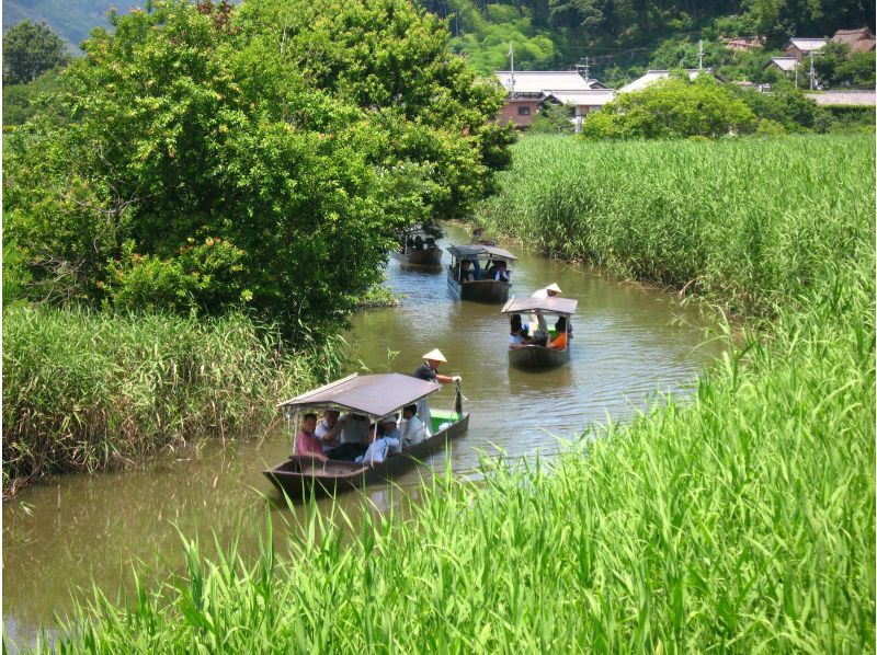 【滋賀・近江八幡】ゆったりのんびり大自然の中を手漕ぎ舟水郷めぐりで癒しの旅♪ 「貸切プラン」