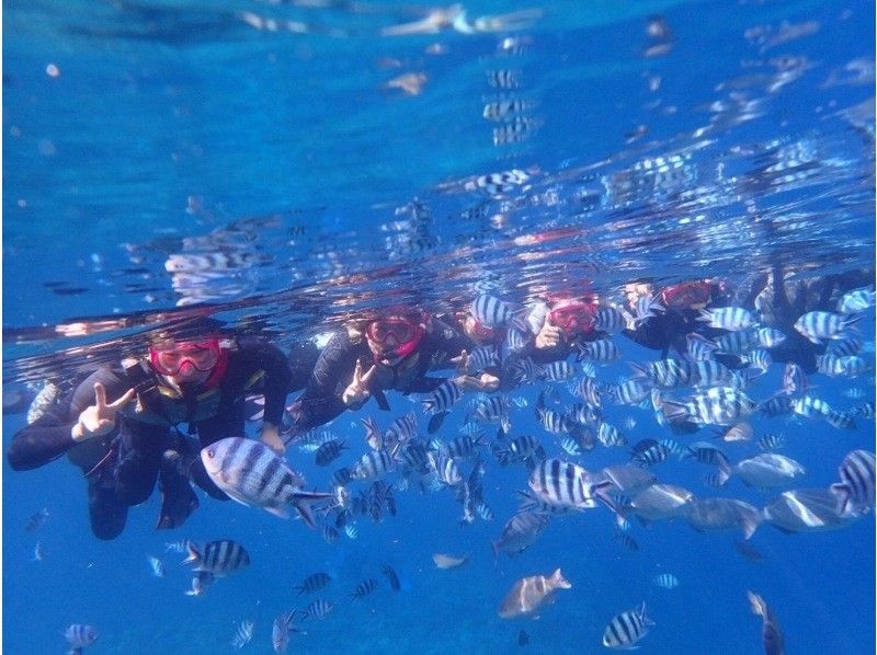 Okinawa Diving 20 (Diving20) People enjoying a snorkeling tour at Zaneh Beach