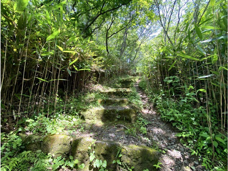 [Iwaki, Fukushima] Iwaki Aruki [Guided low mountain climbing] Nature trekking to Iwaki Fuji