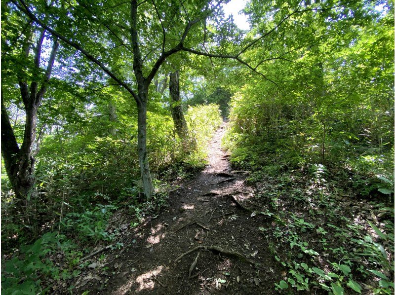 [Iwaki, Fukushima] Iwaki Aruki [Guided low mountain climbing] Nature trekking to Iwaki Fuji