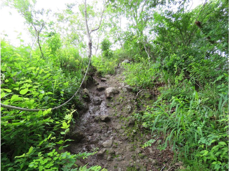 [Iwaki, Fukushima] Iwaki Aruki [Guided low mountain climbing] Nature trekking to Iwaki Fuji