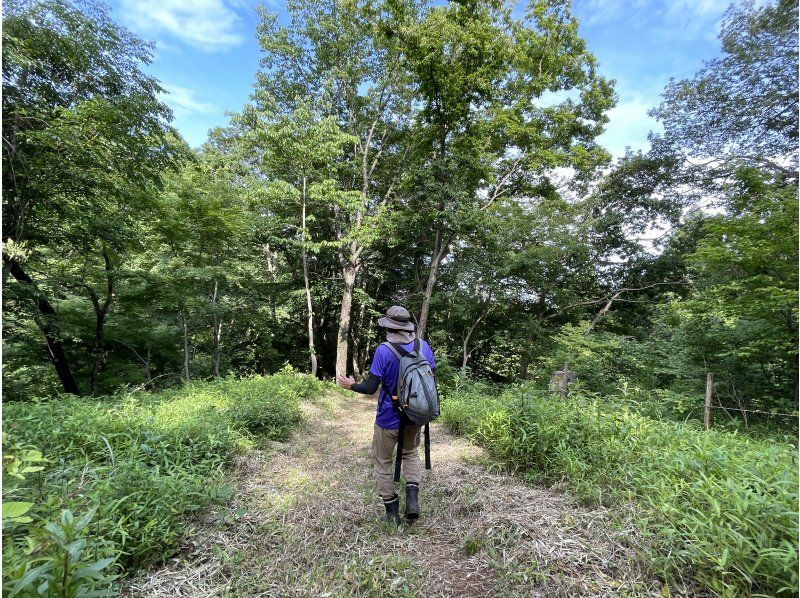 【福島県・いわき市】いわきあるき2024【いわき名物ガイド】丸山公園周辺親子トレッキングコースの紹介画像