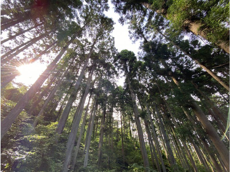 【福島県・いわき市】いわきあるき2024【いわき名物ガイド】丸山公園周辺親子トレッキングコースの紹介画像