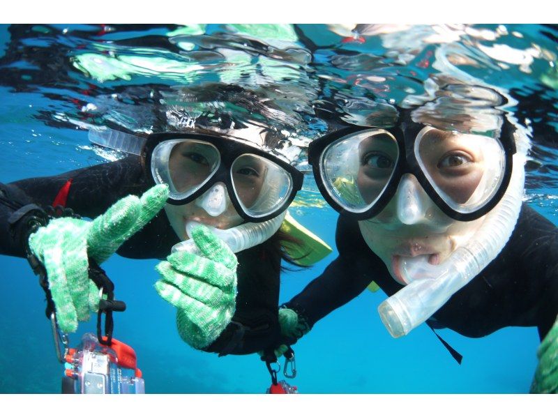 【屋久島・シュノーケル】半日白谷雲水峡+シュノーケルの屋久島満喫セットプラン！苔むす森とシュノーケルを1日コースで　シャワー・更衣室ありますの紹介画像