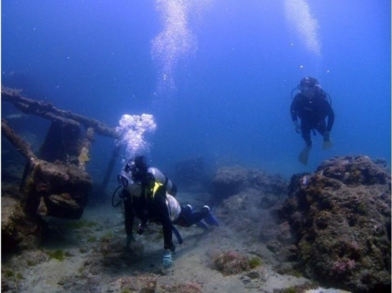 【屋久島・体験ダイビング】初めてのダイビングでも安心！白谷雲水峡トレッキング＆体験ダイビング｜少人数制・ベテランガイドの完全サポート付の紹介画像