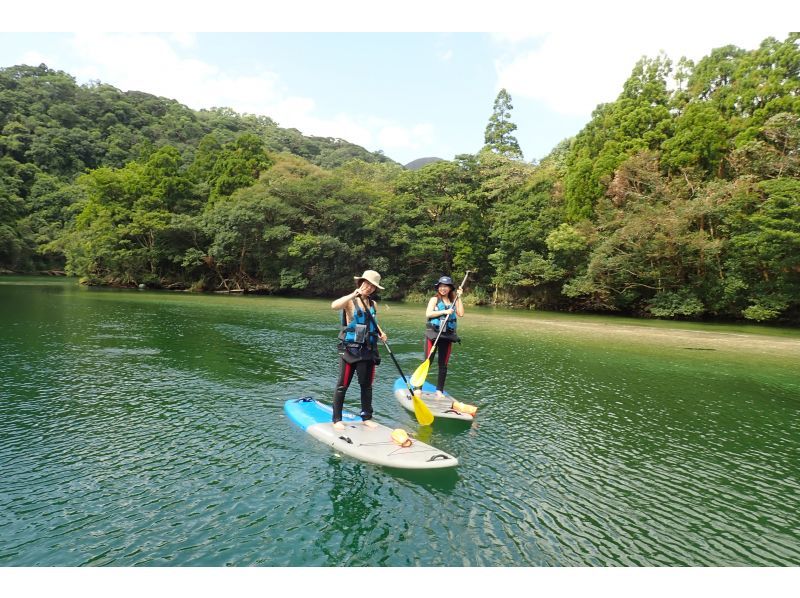 【屋久島・白谷雲水峡＆SUP】午前は神秘の「苔むす森」へ、午後は安房川で「SUP」体験。ガイドと巡る1日冒険ツアーの紹介画像