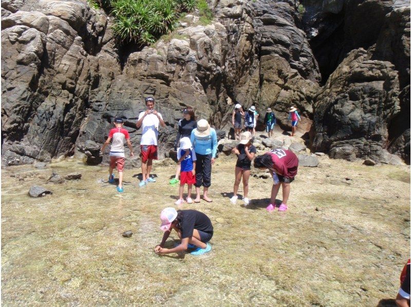 アイランズトリップの渡嘉敷島　無人島ツアーに参加する子供