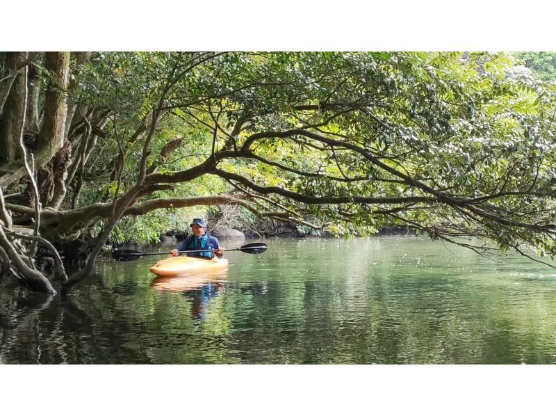 [Kagoshima / Yakushima] Kayaking-Welcome to travel alone! A water walk that makes you smile