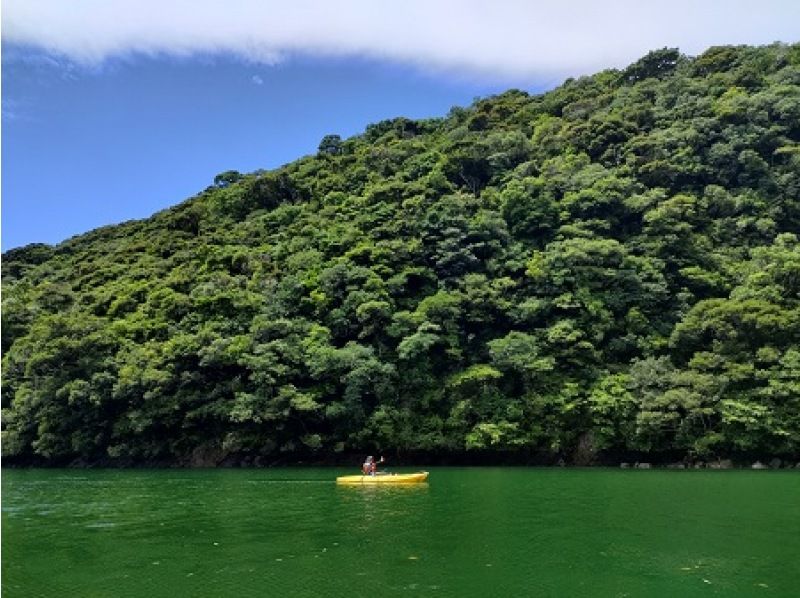 [鹿兒島/屋久島]皮划艇-歡迎獨自旅行！讓你微笑的水上漫步の紹介画像